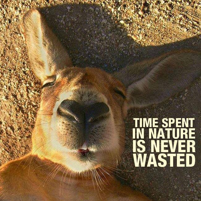 time_spent_in_nature_is_never_wasted_2013-07-10.jpg
