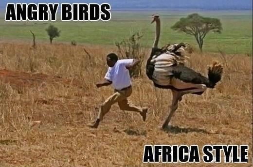 Angry Birds - Africa Style 