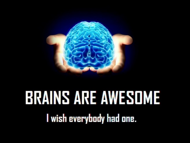 Brains are Awesome. I wish everybody had ONE