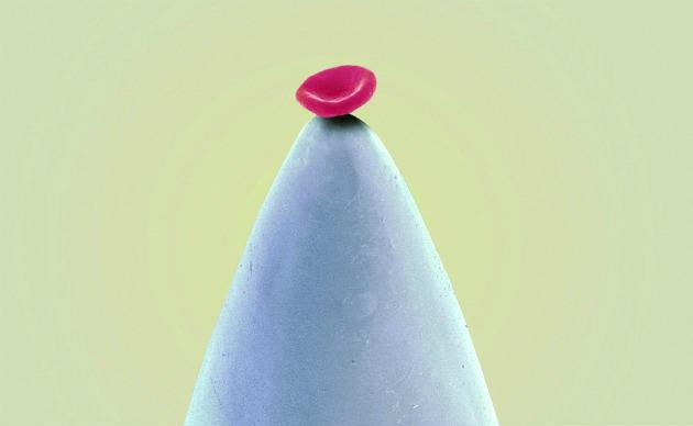 Red blood Cell On Needle 
