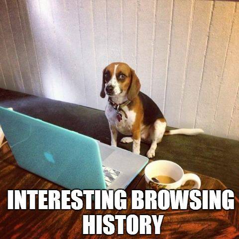 Dog at your PC - Interesting browsing history!