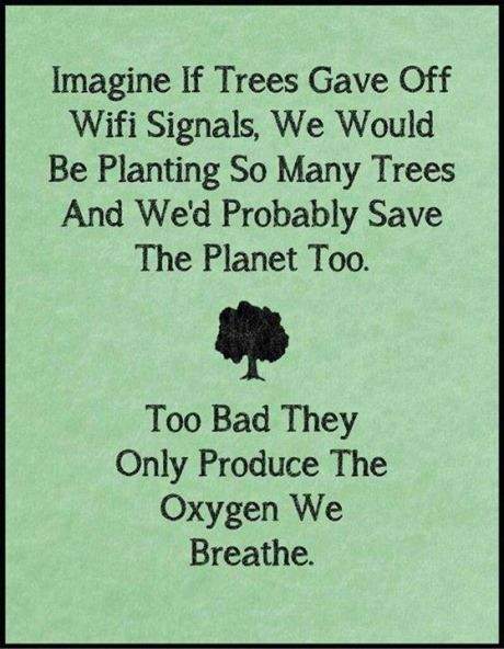 Imagine if trees gave off WIFI signals...