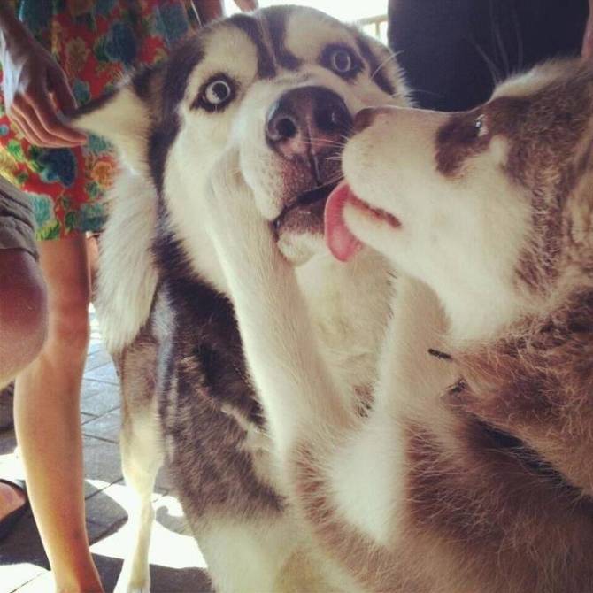 Your face when your girlfriend kisses you in front of her dad.