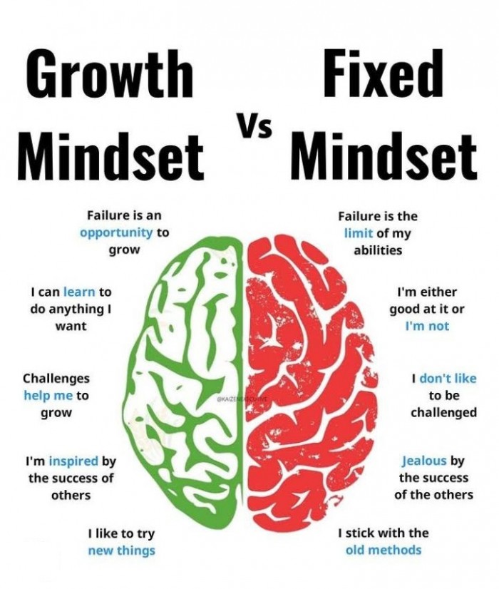 Growth Mindset Vs Fixed Mindset Buz