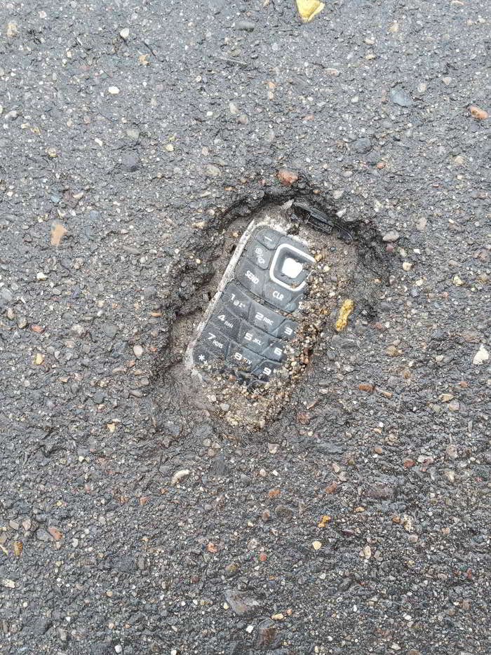 Found a fossil in the parking lot of a pet store