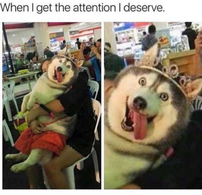 When I get the attention I deserve.