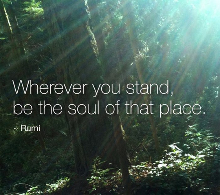 Rumi - Wherever you stand, be the soul of that place. 