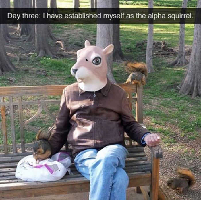 The Alpha Squirrel