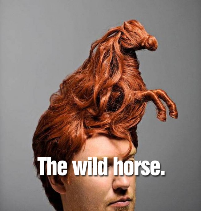 Hairstyles - The wild horse.