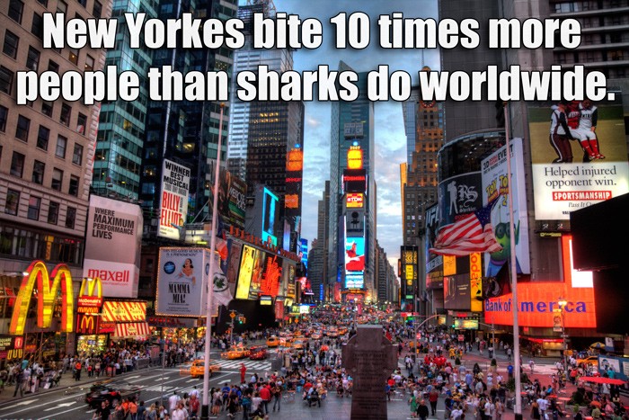 New Yorkers bite 10 times more people... 