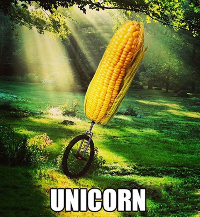 What is the unicorn?