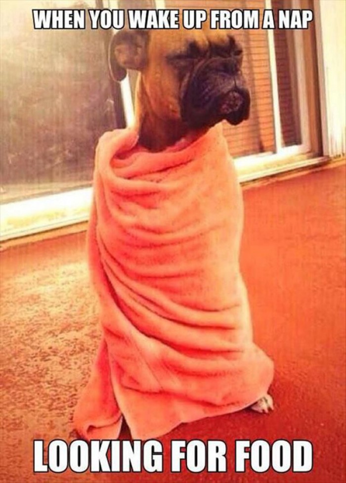 When you wake up from nap looking for food