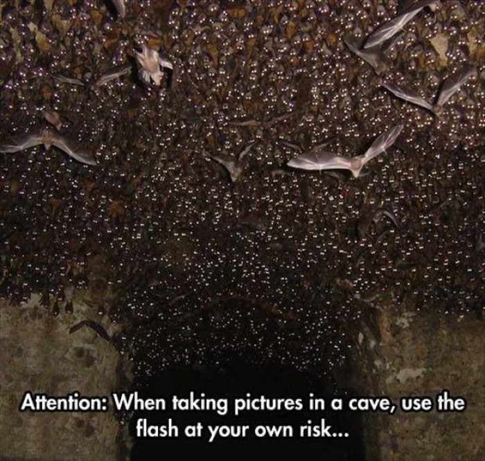 Use the flash at your own risk in cave