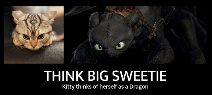 Kitty thinks of herself as a Dragon