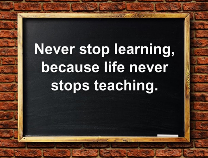 never-stop-learning-because-life-never-stops-teaching-9buz