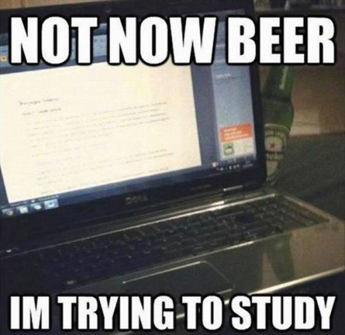 Not now beer i'm trying to study