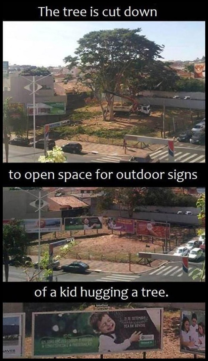 Removing the tree to open space for outdoor signs that shoving a kid hugging a tree