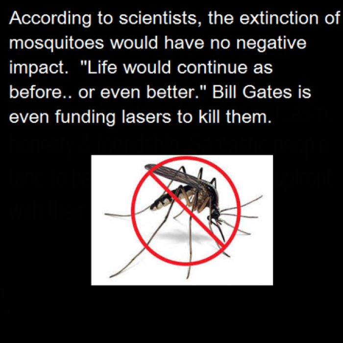 The extinction of mosquitoes would have no negative impact.