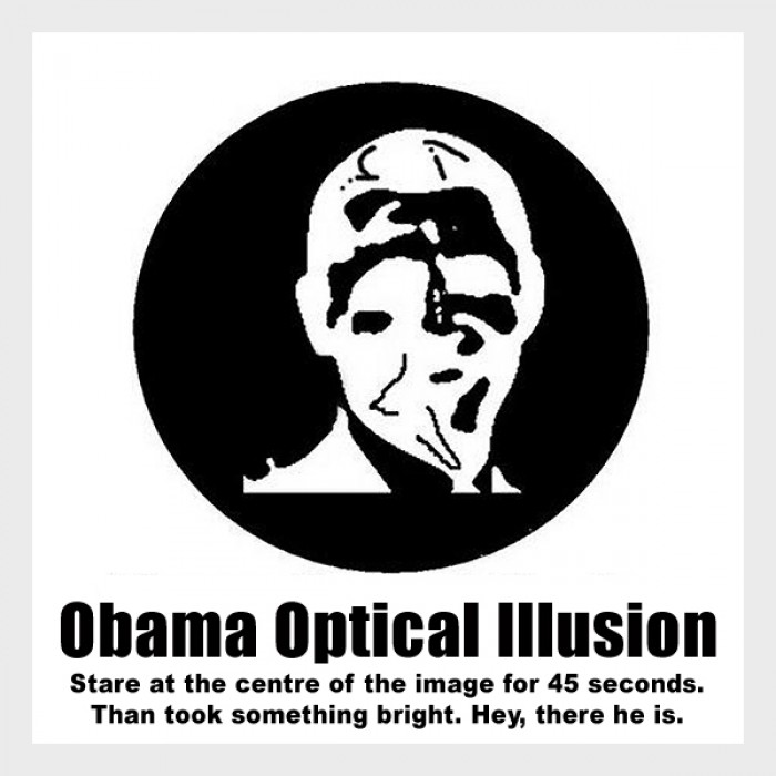 Obama Optical Illusion