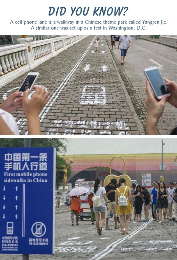 A cell phone walking lane