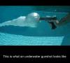 This is what an underwater gunshot look like