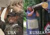 USA vs Rusia