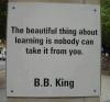 B.B. King - The beautiful thing about learning is nobody can take it from you.