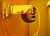 Big spider inside toilet paper roller!