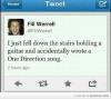 Will Farrell - I just fell down to the stairs holding a guitar and accidentally wrote a One Direction song.