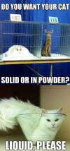 Do you want your cat Solid or in powder?