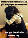 Dog - That awkward moment when a girl is crying in your shoulder