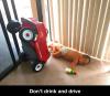 Don't drink and drive - Baby style!