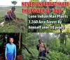 Never underestimate the power of "one" - Lone Indian man plants 1,360 acre forest by himself over 30 years