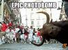 Epic photobomb - Running of the Bulls