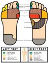 Foot massage zones 