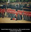 Guard faints during ceremony...