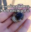 I gave a frog a blueberry 
