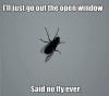 I'll just go out the open window - Said no fly ever !