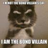 I'm not the Bond villain's cat.