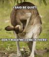 Kangaroo quiver - I said be quiet ! Don't make me come in there ! 