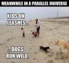 Kids on leashes dogs run wild