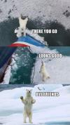 Polar bear saved stranded ship!