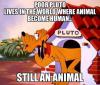 Poor Pluto lives in the world where animals become human...