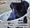 Silence Is Golden Unless You Have A Puppy...