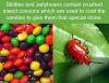 Skittles and Jellybean's contain crushed insect cocoons...