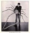 The Giant Spider Crab from Japan