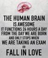 The human brain is awesome