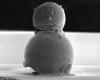 The smallest snowman ever