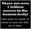 There are over 7 trillion nerves in the human body!