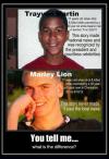 Trayvon Martin and Marley Lion - What is the difference ?